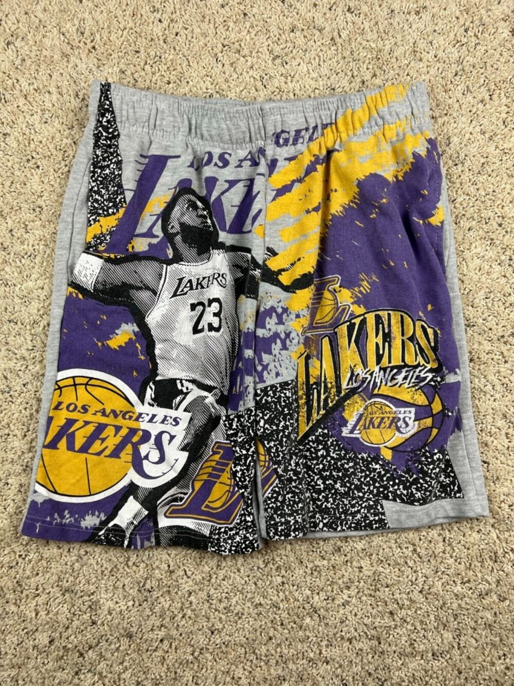 NBA Los Angeles Lakers Sweat Shorts Jogger Shorts Large Men’s Purple Gray Yellow